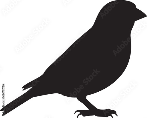 Greenfinch Silhouette on White Background