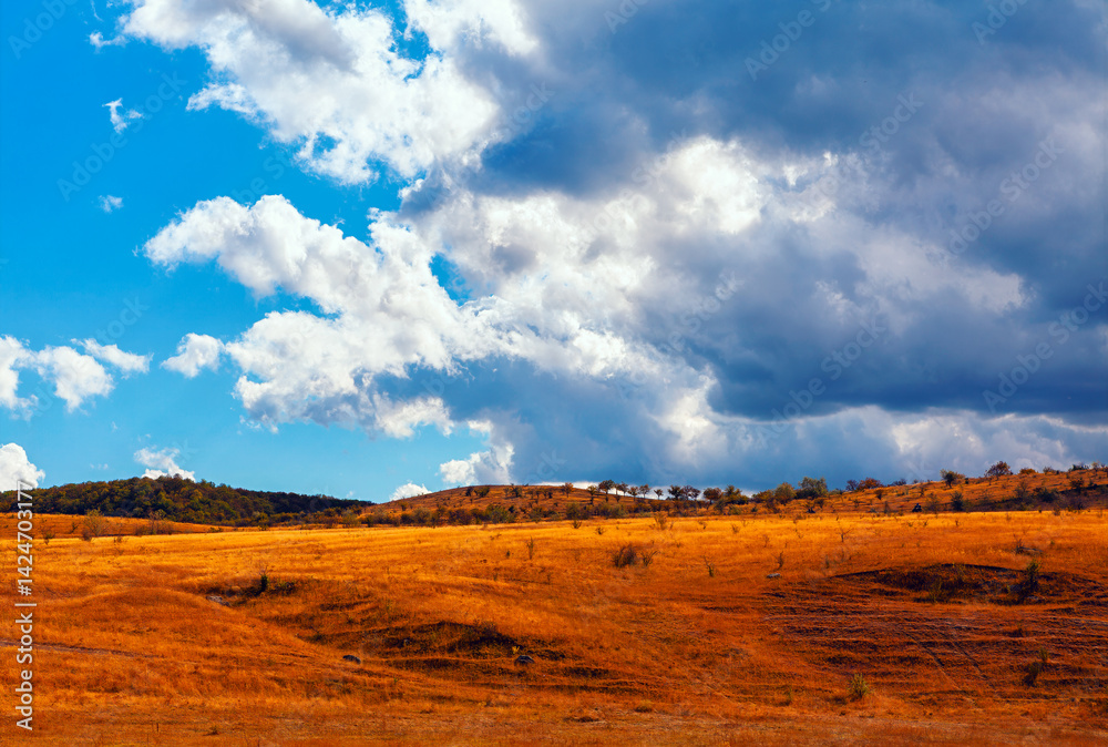 Vast golden field stretches toward distant hills under a dramatic sky filled with towering clouds. Serene, sun-drenched vista of a dry grassland, with a backdrop of a partly cloudy sky