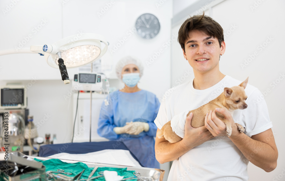 After treatment in veterinary clinic, man owner of Chihuahua dog holds puppy animal in arms and rejoices at successful conduct of therapeutic manipulation