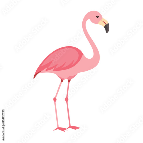 Flamingo: The Elegant Pink Wader