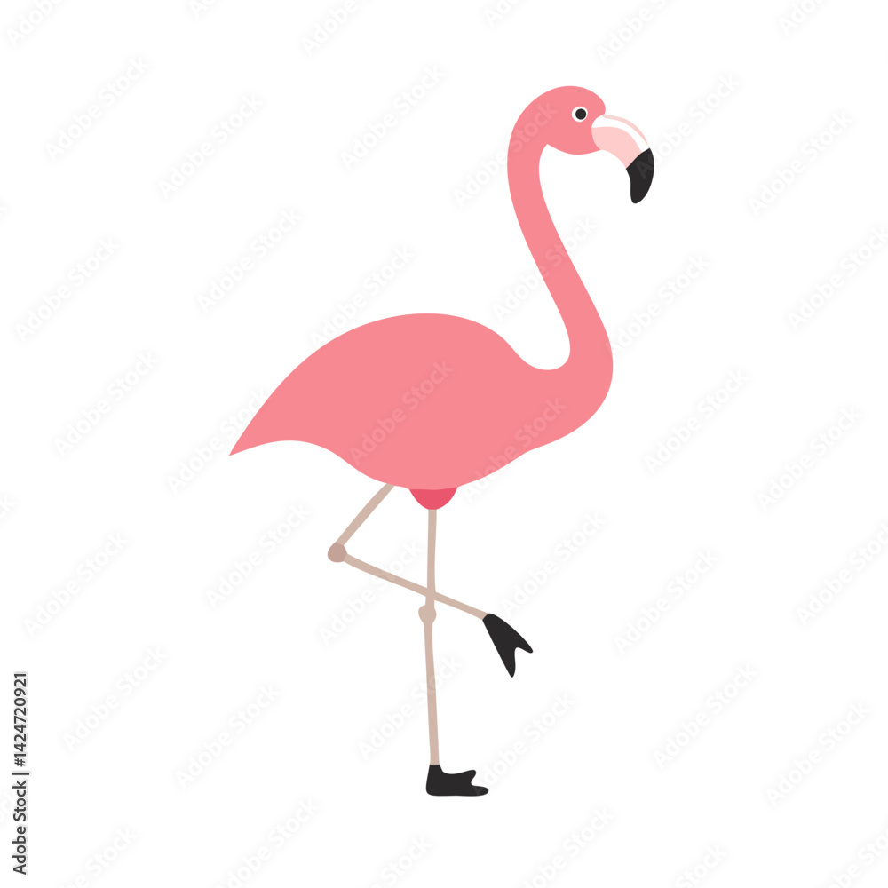 Flamingo: The Elegant Pink Wader Flamingo: The Elegant Pink Wader