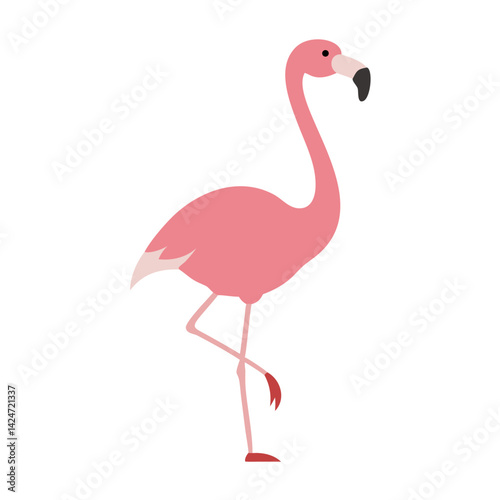 Flamingo: The Elegant Pink Wader