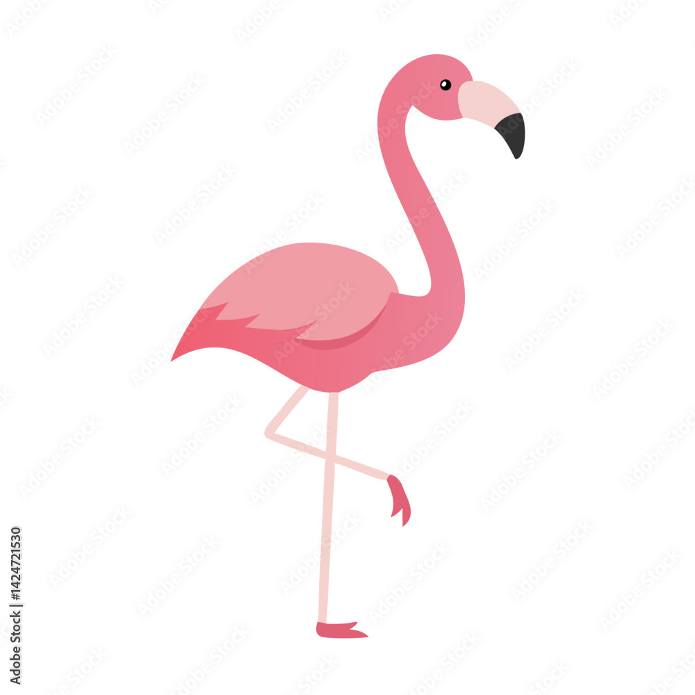 Flamingo: The Elegant Pink Wader Flamingo: The Elegant Pink Wader