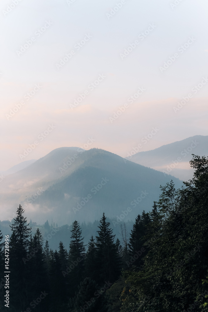 Mountain landscape with mist and trees during early morning hours in a serene environment Mountain landscape with mist and trees during early morning hours in a serene environment