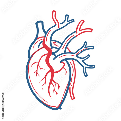 Stylized human heart illustration on black background, medical art