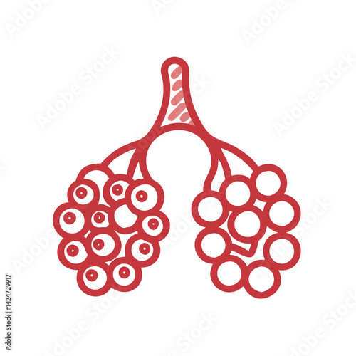 Human alveoli graphic, illustration of lung sacks