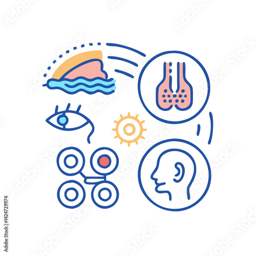 Vision, Brain, Thyroid, and Body Processes Illustration Design