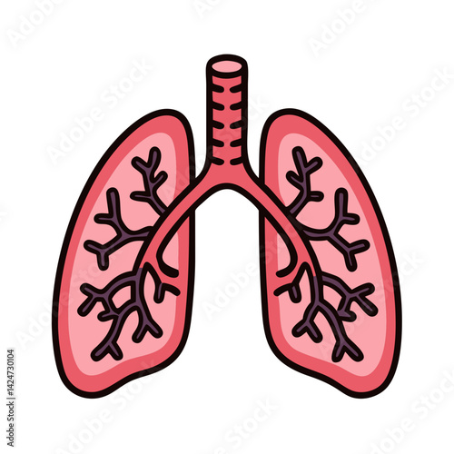 Human Lungs Anatomy Illustration for Health and Medical
