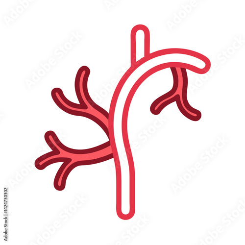 Medical Illustration of Human Blood Vessel Artery Network