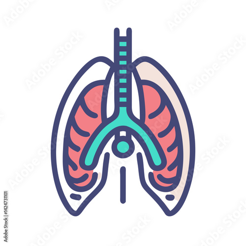 Human lungs anatomical illustration with trachea and ribs