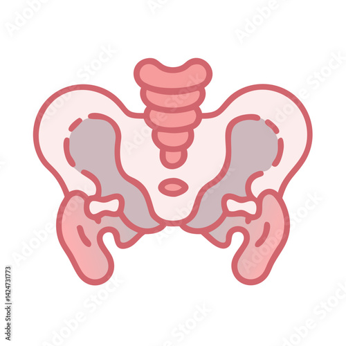 Pelvic Bone Anatomy: Human Skeleton Medical Illustration Artwork