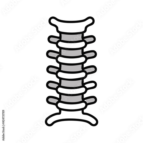 Cervical Spine Illustration: Human Vertebrae, Spinal Cord Anatomy