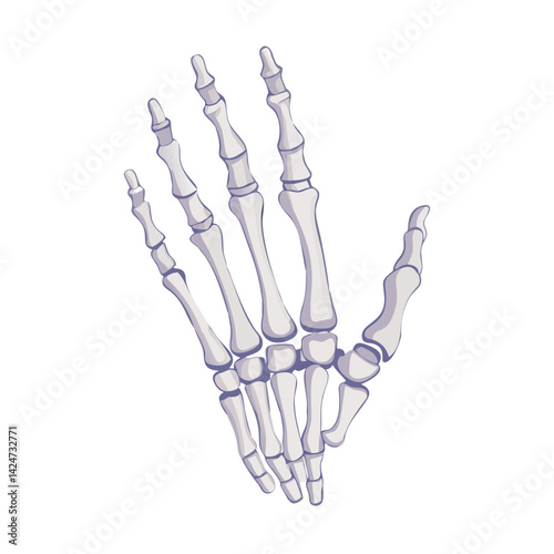 Cartoon Skeleton Hand Anatomy Halloween Spooky on Black