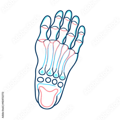 Neon Foot Anatomy, Medical Illustration on a Black Background