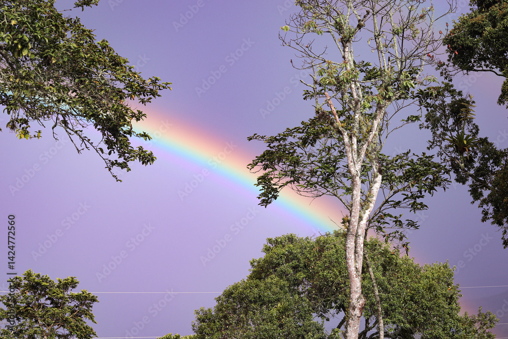 Obraz premium Cielo multicolor tras la lluvia