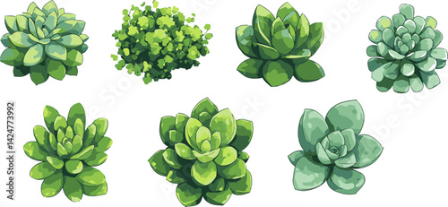 Succulent plants arranged in various shapes showcasing vibrant green foliage on a white background