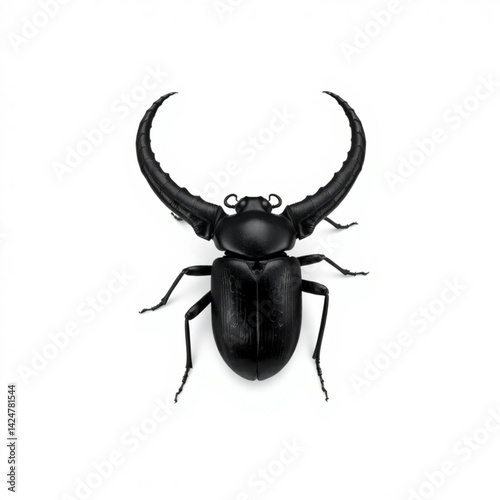 Isolated black stag beetle overhead create with generative ai