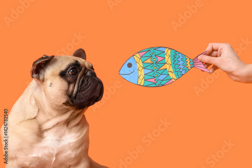 Cute French bulldog and fem...