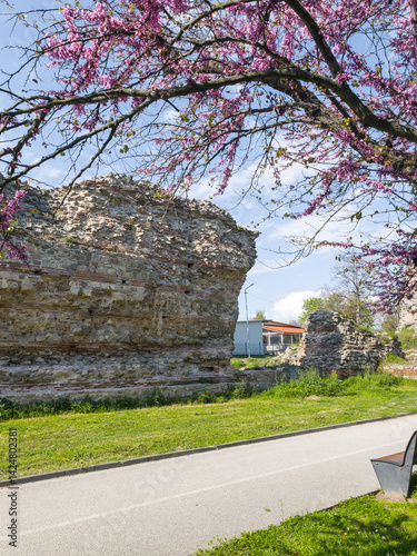 Obraz na płótnie Ruins of Roman fortifications in a town of Hisarya, Bulgaria w salonie