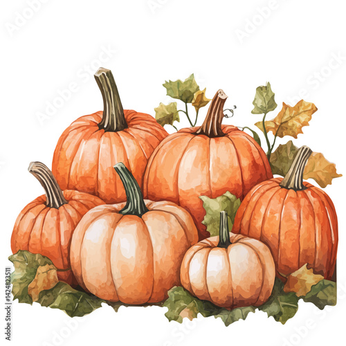 Pumpkin patch with people picking pumpkins, watercolor illustration, isolated on a white background.

