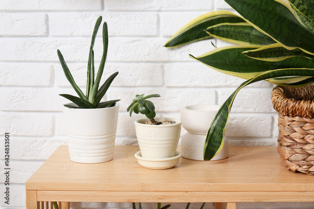 Succulents on shelf near white brick wall