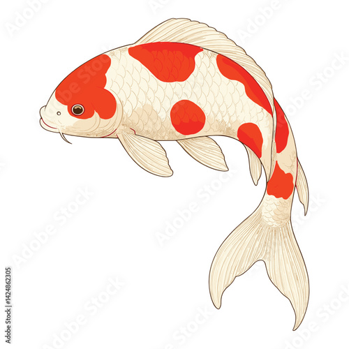 Realistic Vector Illustration of a Japanese Koi Fish (Kohaku Variety)