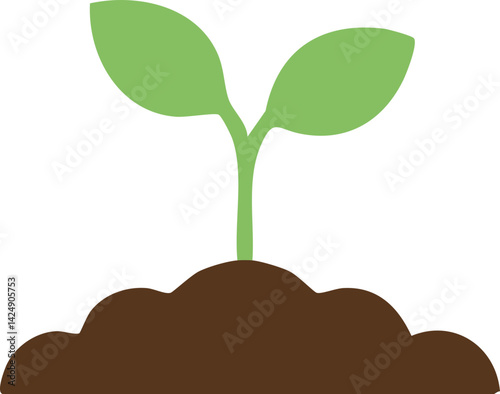 seedling