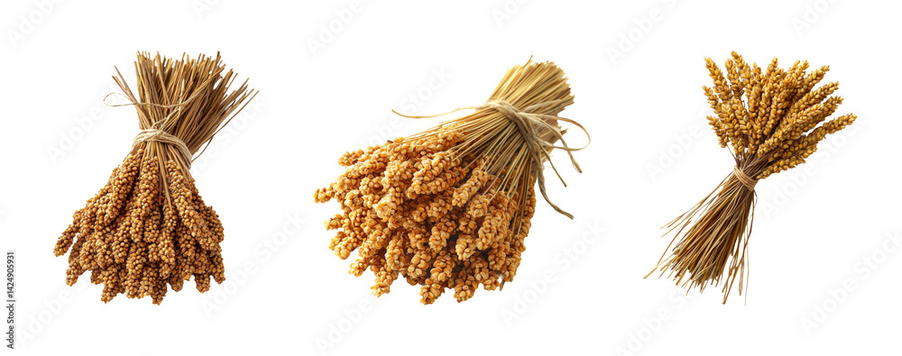 Bundles of Golden Grains with Transparent Background for Creative Use