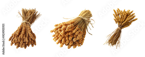 Obraz na płótnie Bundles of Golden Grains with Transparent Background for Creative Use w salonie