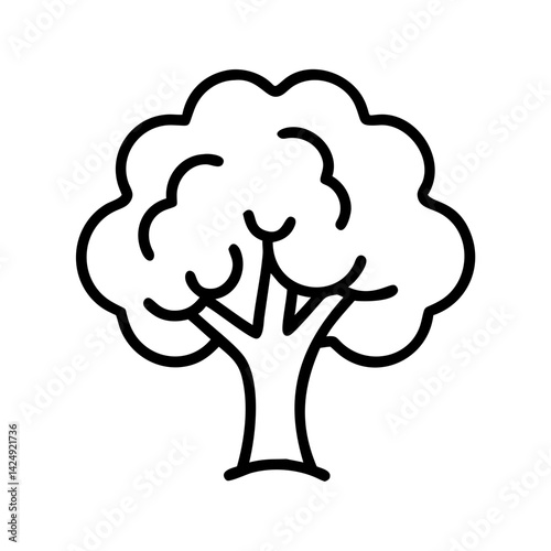 beech tree line drawn outline vector art - illustration of beech tree isolated transparent background