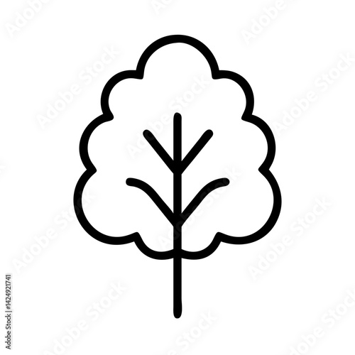 beech tree line drawn outline vector art - illustration of beech tree isolated transparent background