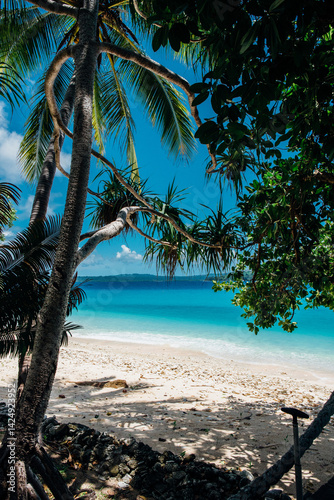 Breathtaking beach view on Bokissa island in Vanuatu with palm trees and turquoise waters photo