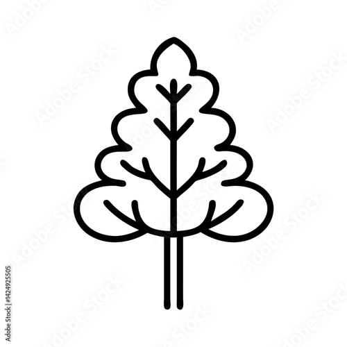 larch tree line drawn outline vector art - illustration of larch tree isolated transparent background