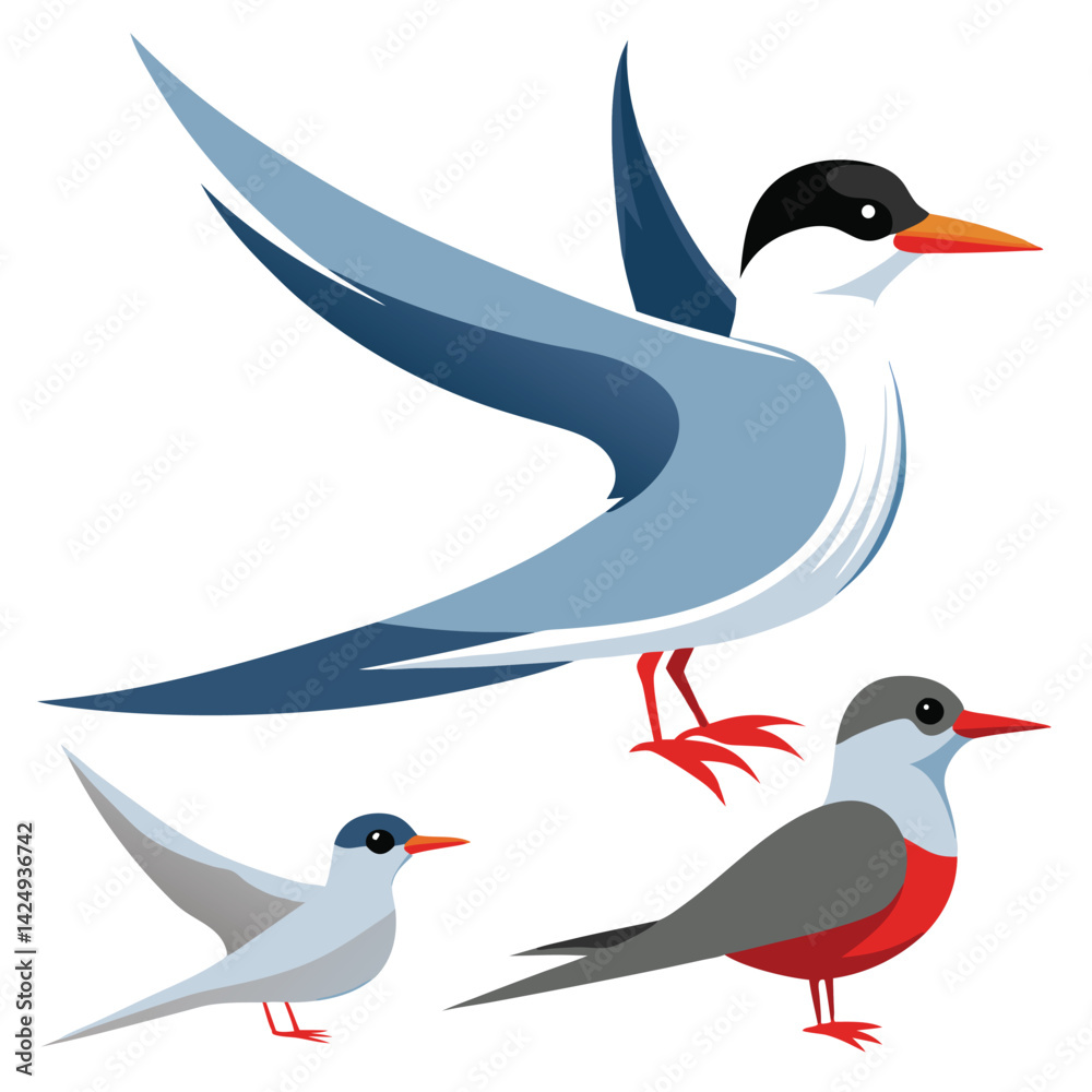 Fototapeta premium Arctic tern birds set shilhotee vector isolated on white background