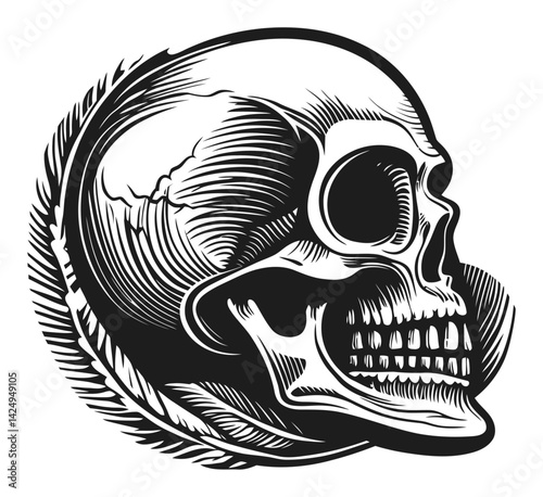 Detailed Engraving of a Skull with Intricate Illustrative Style