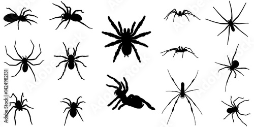 Silhouette Collection of Various Spider Species Isolated on White Background

