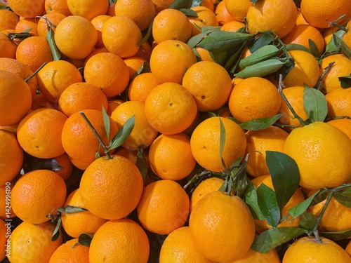 Obraz na płótnie Closeup of heap of ripe orange placed on stall in local grocery market w salonie