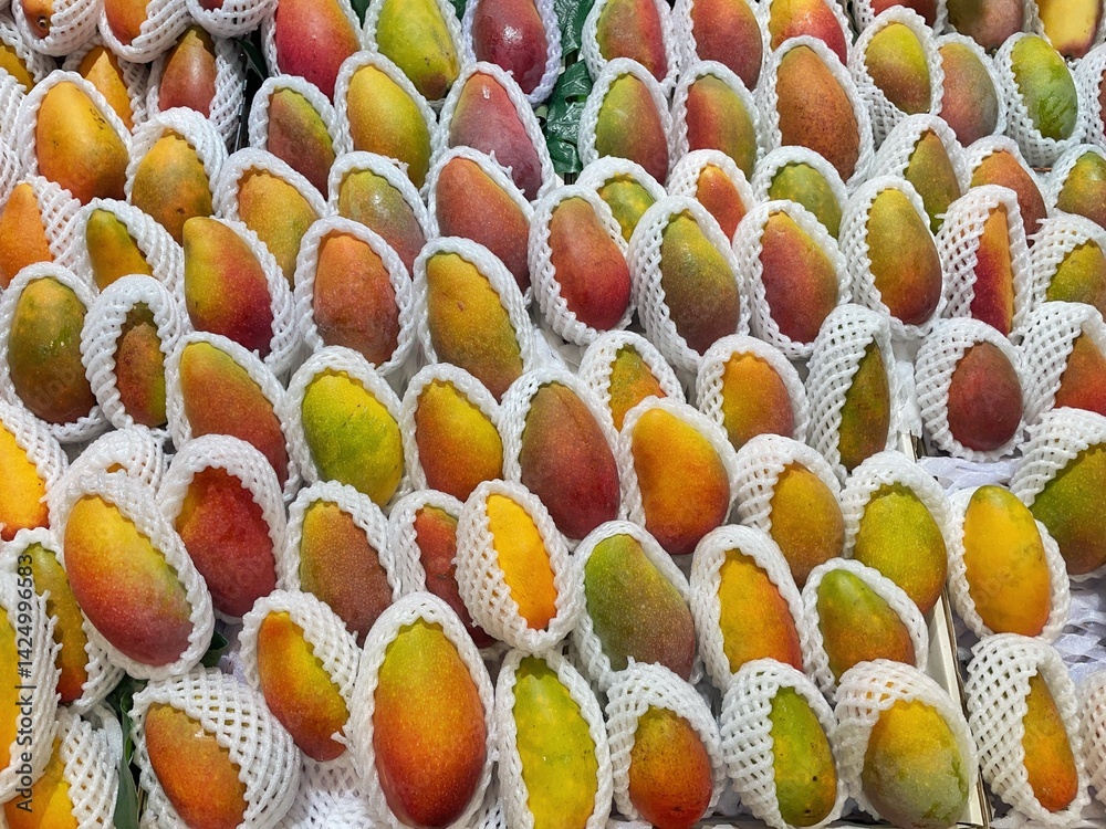Lots of ripe colorful mangoes are placed in foam net in a pile as a background texture