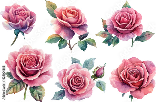 Romantic Hand-Drawn Watercolor Pink Rose Flower