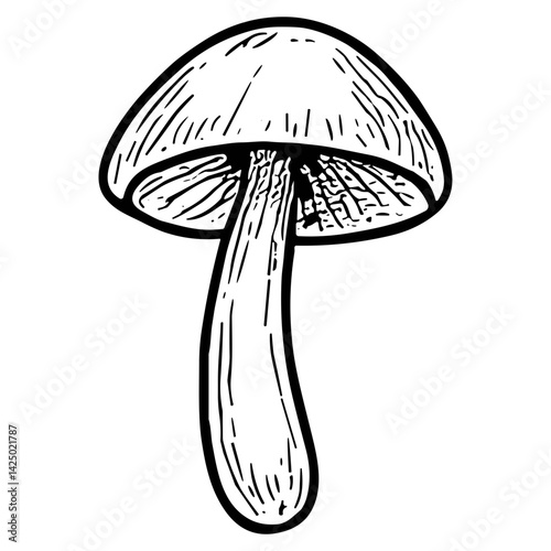 Mushroom 12
