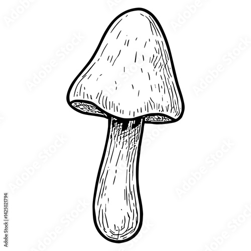 Mushroom 14