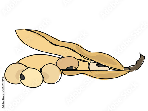 Soybeans are in a continuous line drawing on a white background.