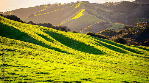 hillside covered in wildflowers, with golden sunlight casting long shadows across the green grass 