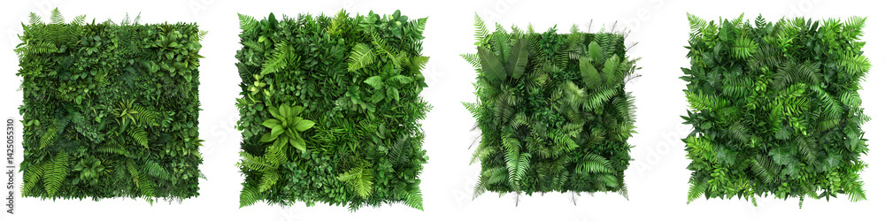 Lush green wall of diverse foliage and plants Lush green wall of diverse foliage and plants