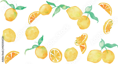 水彩のレモンイラスト。水彩画のレモンベクター素材。夏のレモン背景イラスト。Watercolor lemon illustration. Watercolor lemon vector material. Summer lemon background illustration.