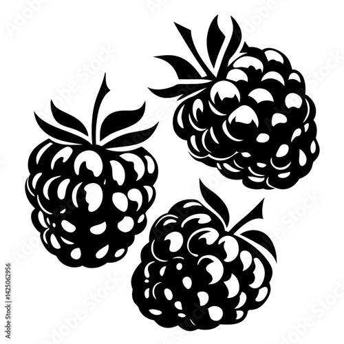 Elegant Black and White Raspberry Vector Illustration with Detailed Leaf Accents