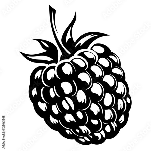 Detailed monochrome vector graphic illustration of a raspberry berry with leaves