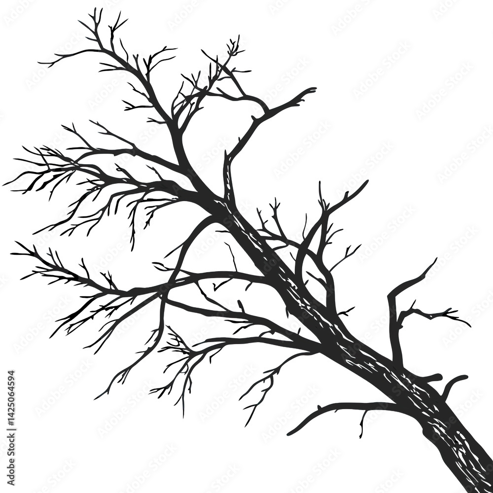 Naklejka premium Dry branch of a dead tree with intricate detailing of cracked bark captures the essence of nature. The stark contrast emphasizes unique textures and shapes