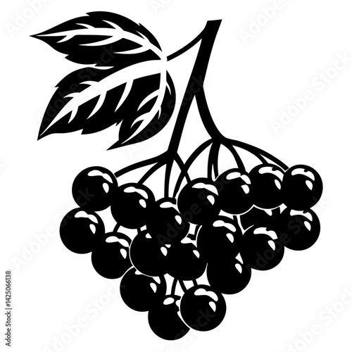 Striking black and white illustration of a cluster of berries with leaves