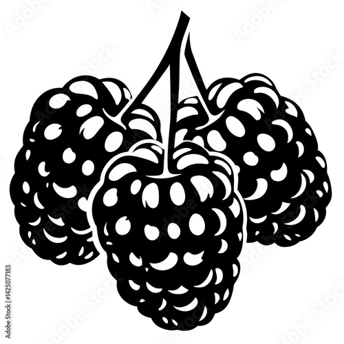 Three delicious black raspberries hanging from a stem in black and white